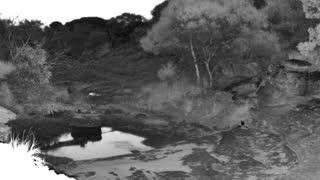 Still 3 from this detection