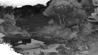 Still 1 from this detection