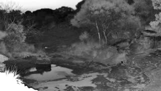 Still 2 from this detection