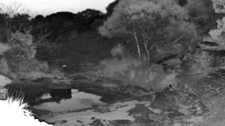 Still 3 from this detection