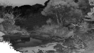 Still 1 from this detection