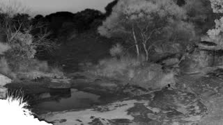 Still 3 from this detection