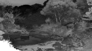Still 1 from this detection