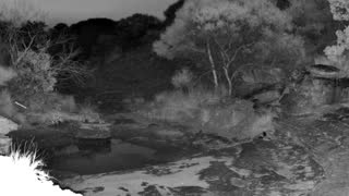 Still 2 from this detection