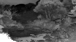 Still 2 from this detection
