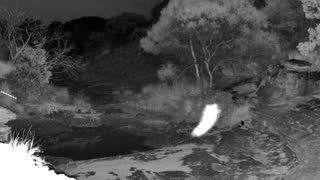 Still 1 from this detection