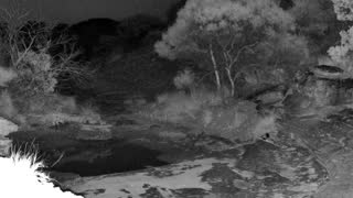 Still 3 from this detection