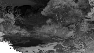 Still 1 from this detection