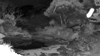Still 2 from this detection