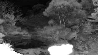 Still 2 from this detection