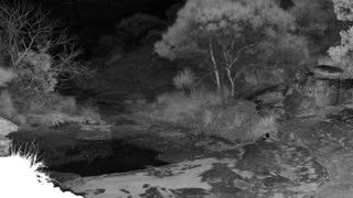 Still 2 from this detection