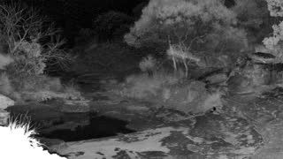 Still 1 from this detection