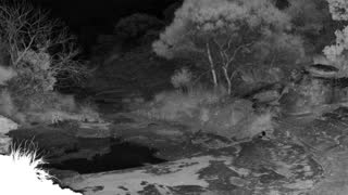 Still 1 from this detection