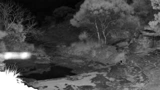 Still 2 from this detection