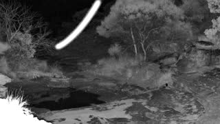 Still 1 from this detection