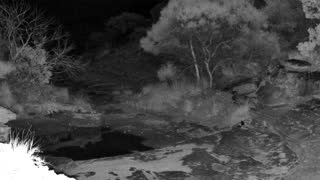 Still 3 from this detection