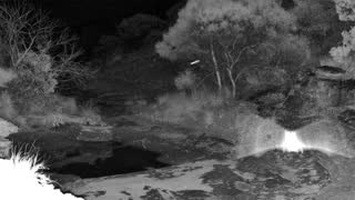 Still 1 from this detection