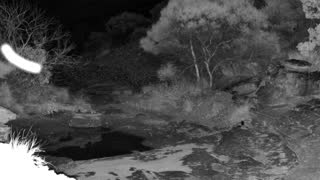 Still 1 from this detection