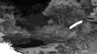 Still 2 from this detection
