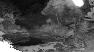 Still 2 from this detection