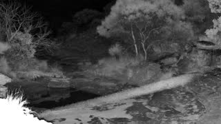 Still 1 from this detection