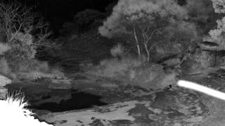Still 2 from this detection
