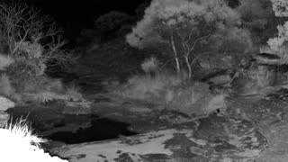 Still 2 from this detection