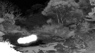 Still 1 from this detection