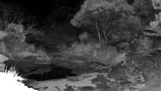 Still 2 from this detection