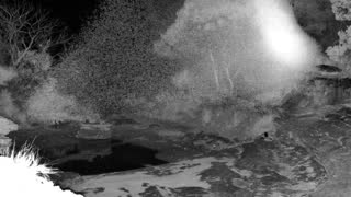 Still 1 from this detection