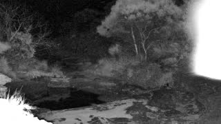 Still 2 from this detection