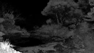 Still 1 from this detection