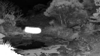 Still 2 from this detection