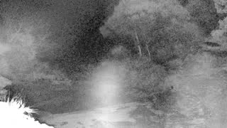 Still 1 from this detection